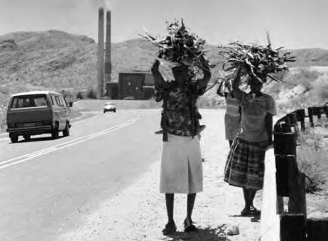 5 Fig. 5.1 shows vehicles driving past a power station in Namibia and women carrying firewood they have cut. 10 Fig. 5.1 (a) Describe how an increase of carbon dioxide in the atmosphere can affect the environment.
