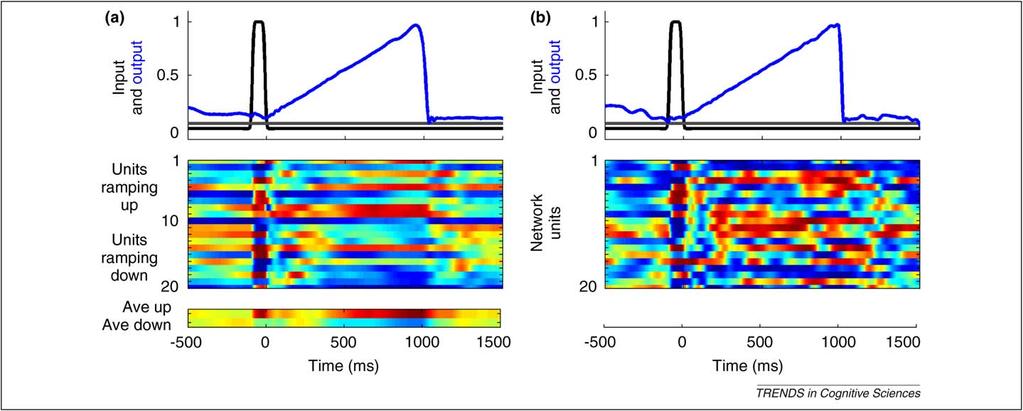 [(Figure_3)TD$FIG] Opinion Trends in Cognitive Sciences Vol.14 No.12 Figure 3. Ramping output.