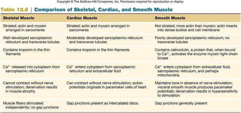 This table shows you the differences between the different types of muscle cells: Don t forget