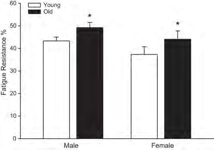 Diaphragm Muscle Fatigue Resistance Increases with Aging