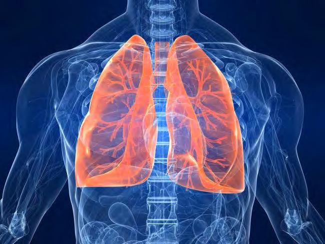 Development and aging COPD Asthma
