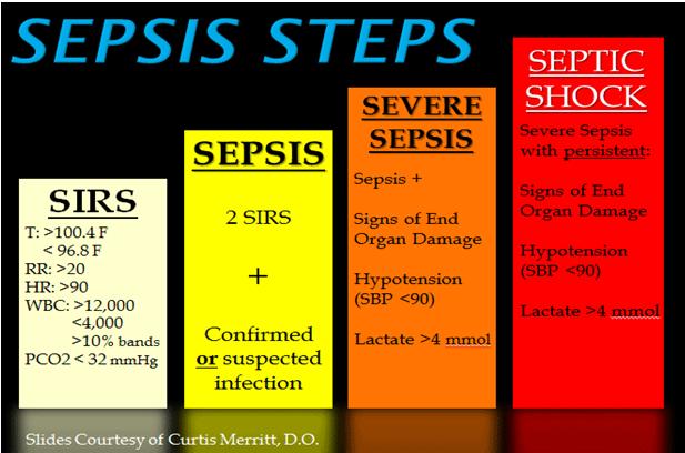 Stages of Sepsis What do we look for?