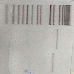 91 A. B. (1) (2) (1) (2) (3) (4) (5) Btbd 11 cdn A After PCR Exte nsio n Origi nal Btbd 11 cdn A Posit ive In- Fusio n Clon e # 6 Figure 22.
