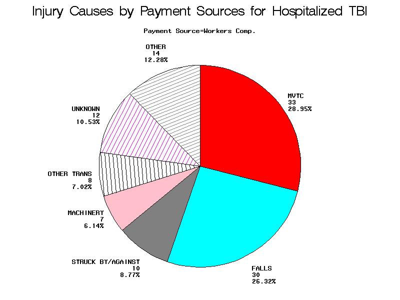 Government as primary payer, 2004 Figure 12.
