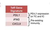 0) 8-gene mrna signature: CD8A, GZMA, GZMB, IFNγ, EOMES, CXCL9, CXCL10 and TBX21 Teng MWL et al. Cancer Res 2013 CI, confidence interval; HR, hazard ratio; T eff, T-effector; IFN-, interferon-gamma.