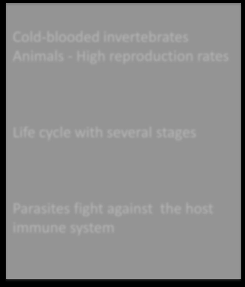 host immune system Infestation dependent on external conditions for ectoparasites