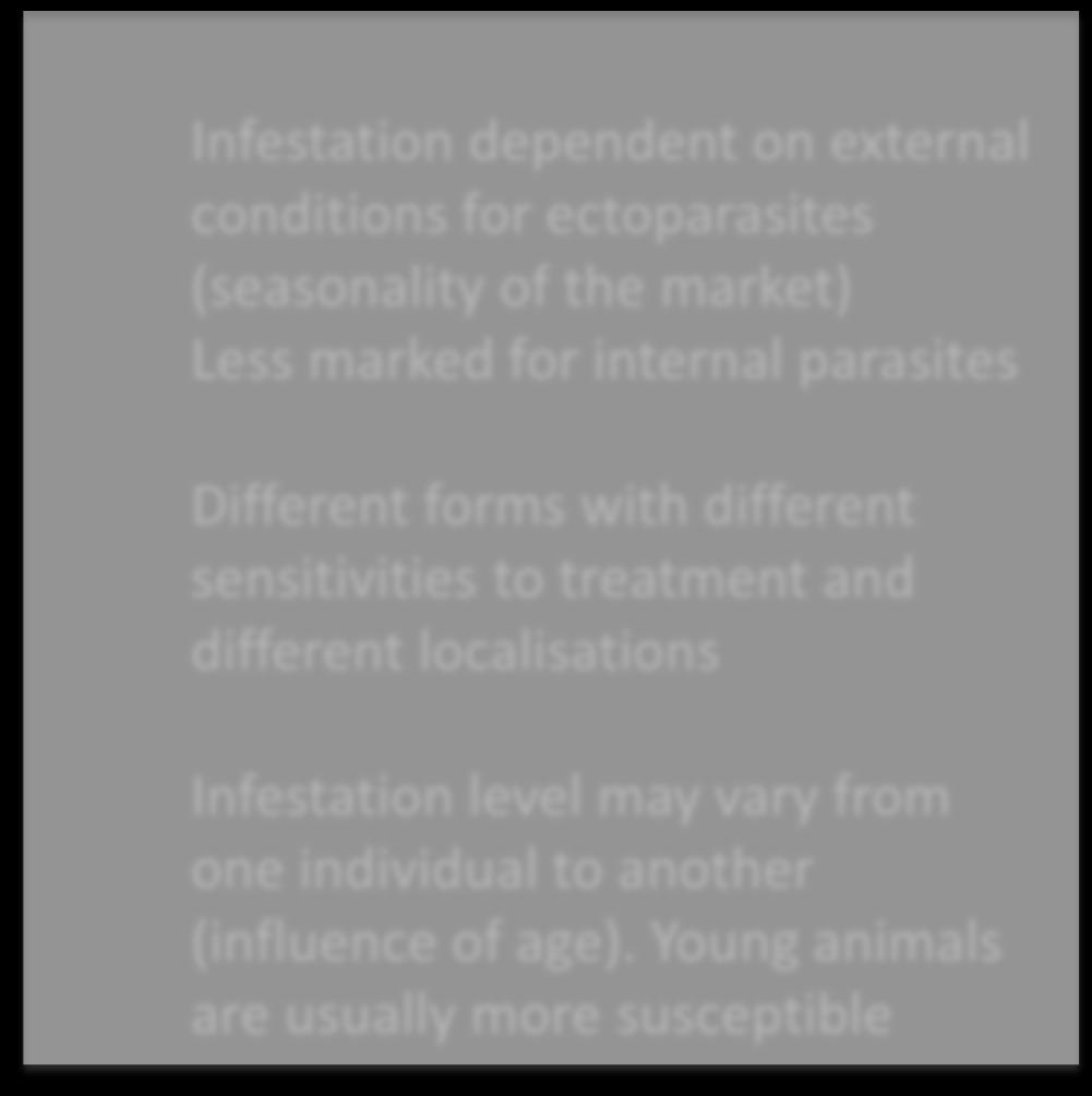 different sensitivities to treatment and different localisations Infestation level may