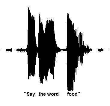 Figure 5. Example of speech-in-noise stimuli. Say the word food is presented while speech spectrum background noise is interrupted at a rate of 5 interruptions per second.