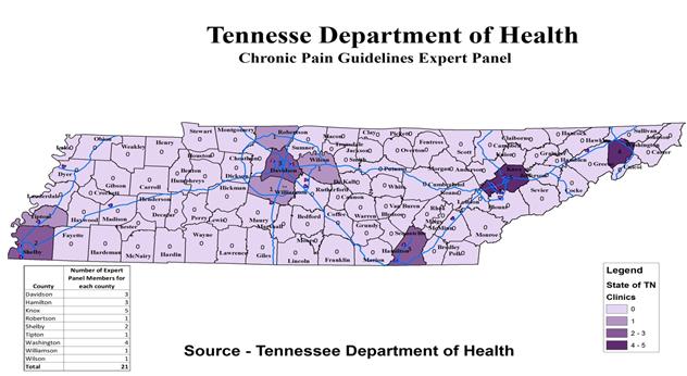 Chronic Pain Guidelines Expert Panel Public Chapter 430 Requires the development of the TN Chronic Pain Guidelines 1 st edition 2014 2 nd edition 2017 Annual review Risk Proof Your Practice How many