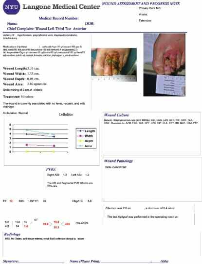 FEATURE Figure 1. Screen capture of the Wound Electronic Medical Record Datasheet.