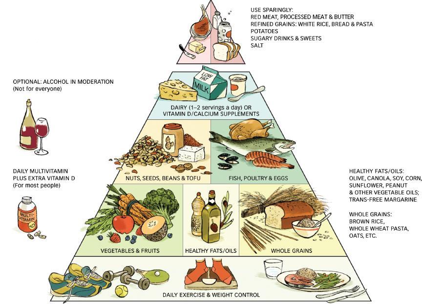 Department of Agriculture (USDA). Besides food plate, there are actually many other alternatives by various different people and organizations. Let us explore! New Pyramid Why?