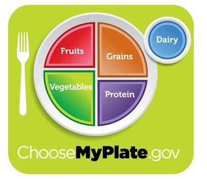 Food plate New approach Newly released food plate by the USDA has received tremendous response from the public as reflected by the enormously high viewing rate of the official website (choosemyplate.