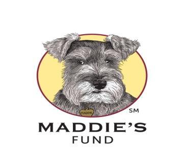 Maddie s Shelter Medicine Program 2015 SW 16 th Avenue College of Veterinary Medicine PO Box 100126 Gainesville, FL 32610 352-273-8660 352-392-6125 Fax Overview Management of Disease Outbreaks in