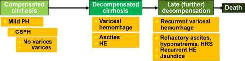 Progression of Cirrhosis Portal hypertensive bleeding in cirrhosis: Risk stratification, diagnosis, and management: