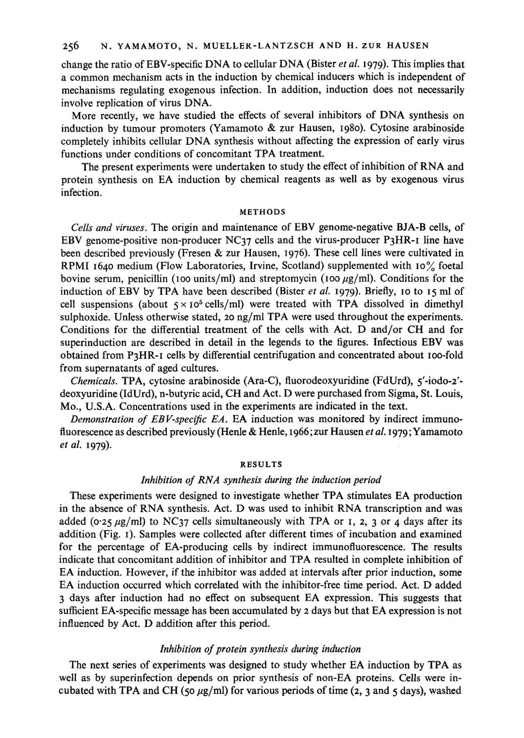 256 N. YAMAMOTO, N. MUELLER-LANTZSCH AND H. ZUR HAUSEN change the ratio of EBV-specific DNA to cellular DNA (Bister et al. 1979).