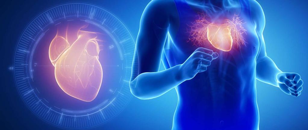 SPORTS CARDIOLOGY Since the creation of the Group of sports cardiology at the Hospital Clinic in 2009 to present, its clinical, teaching and research activity has become one of the European