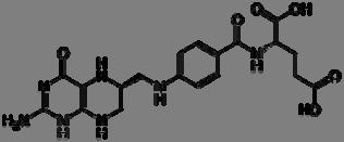 Coenzyme A (carrying an acetyl group during a