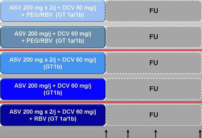 Asunaprevir (PI) + Daclatasvir (NS5AI) A1 and A2: G1b Null responders, without