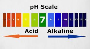 WHY USE PH PAPER?