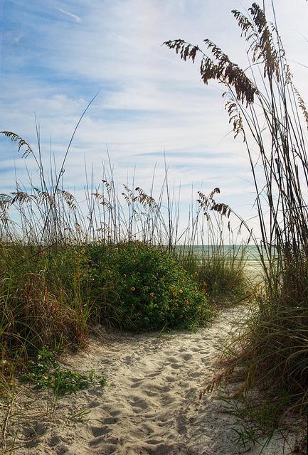 Embracing Life s Transitions with Integrity: Finding Ourselves in the Space between Change and Transition A Circle of Trust Retreat on the Ocean November 15-17, 2017, Pawleys Island, SC Facilitated