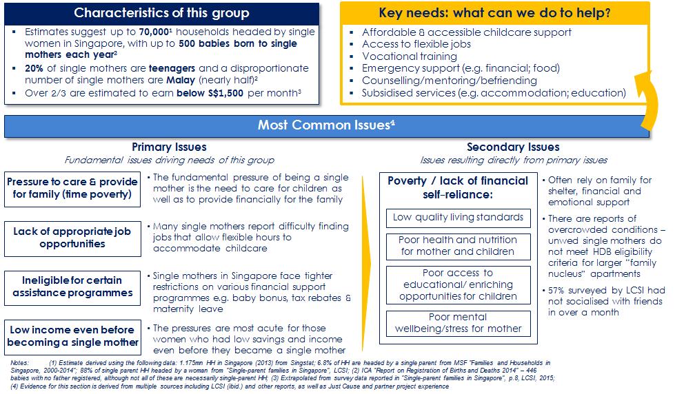 The diagram below summarises the key characteristics and issues facing this group in Singapore, together with the main needs that arise where charities can offer their support.