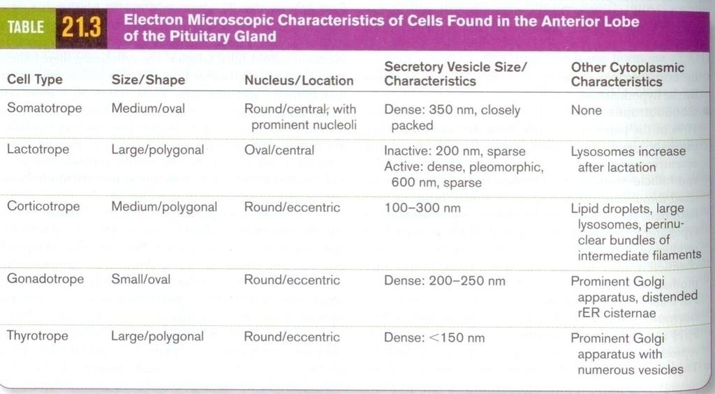 mammotropic cells thyrotropic