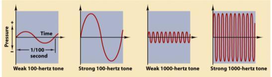 Hearing To hear, the ear is sensitive to sound pressure, which can vary in intensity, frequency and timbre. The intensity and frequency are represented below.