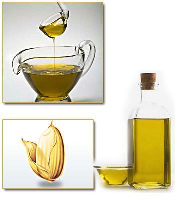 Rice Bran Oil Potential Qty in MnT 16 14 12 10 8 6 4 Year Qty in Mnt 2004-05 1.235 2005-06 1.354 2006-07 1.388 2007-08 1.400 2008-09 1.470 2009-10 1.328 2010-11 1.