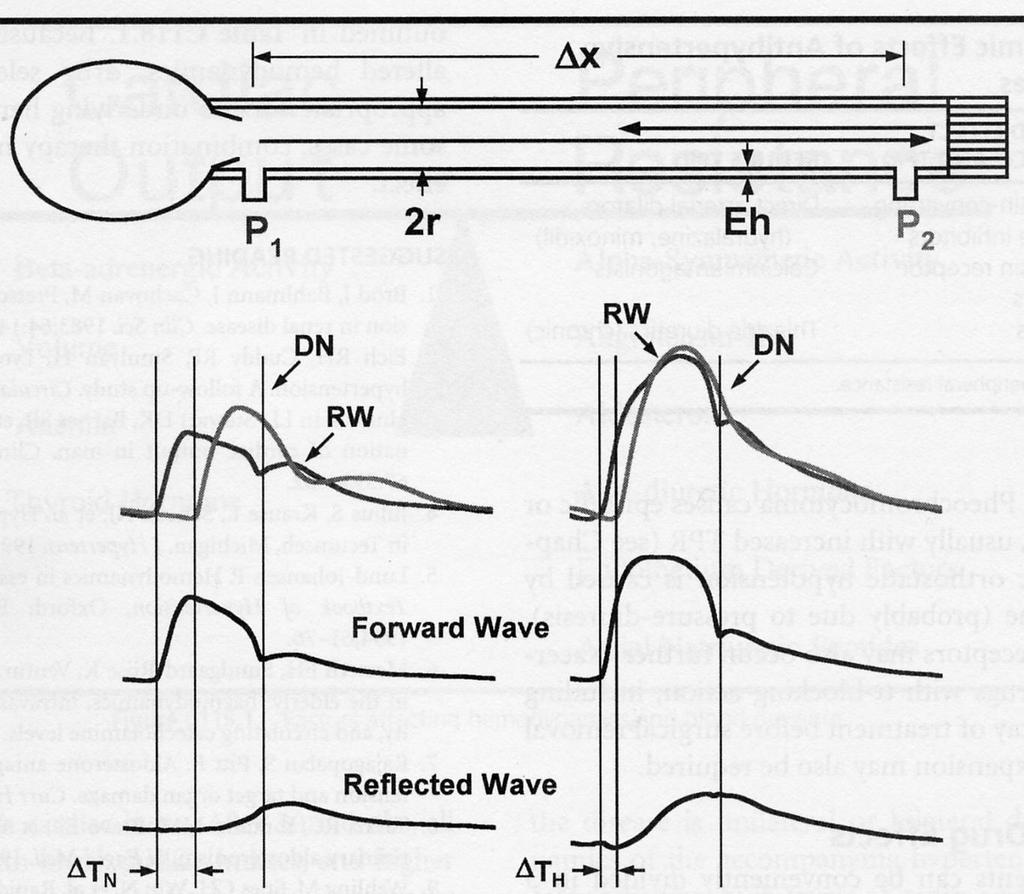 Pulsatile Hemodynamics PWV= X / T PWV, characteristic impedence forward wave TH< TN Premature returned RW