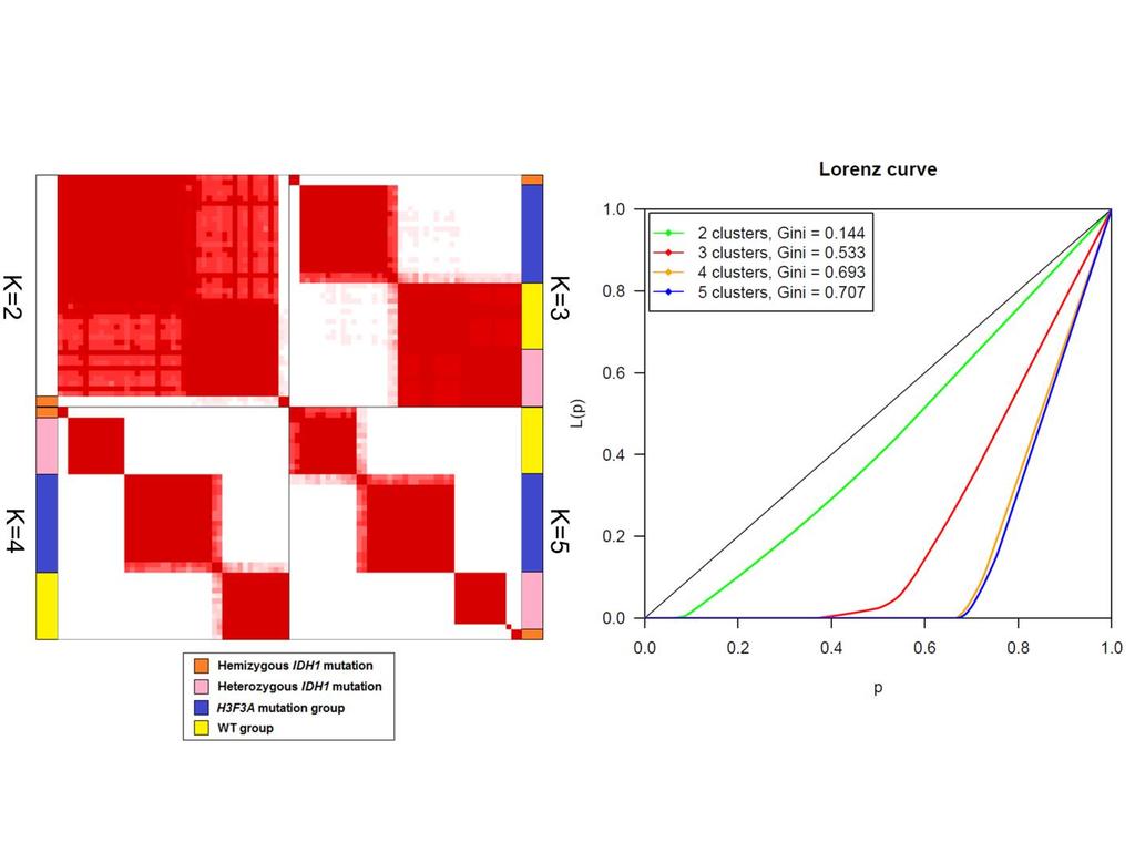 Supplementary Figure 2 Consensus clustering by methylation β value and Lorenz curve.