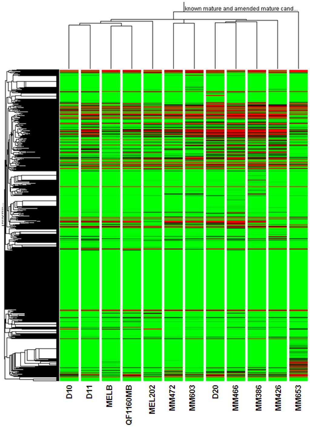 Small RNA-Seq - primary target: micrornas Beyond micrornas Characterization of the Melanoma mirnaome by Deep Sequencing Profiling novel mirnas