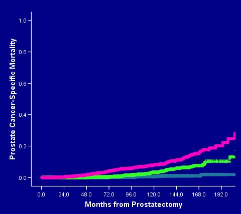 Risk of Death from Prostate Cancer by AUA Risk Group PSA > 20, or Gleason 8-10, or T2c- T3 PSA 10-20, or Gleason 7, or T2b PSA < 10 and Gleason 2-6 and T1c- T2a Risk Group Pts PCa Death 15-yr PCSM