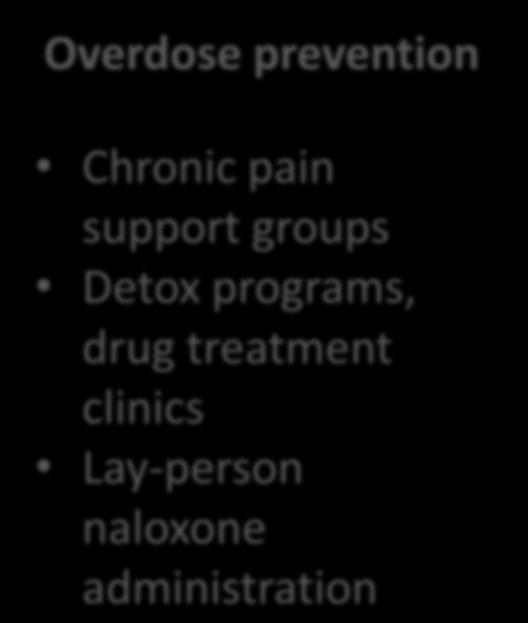 Overdose Prevention Strategy Overdose