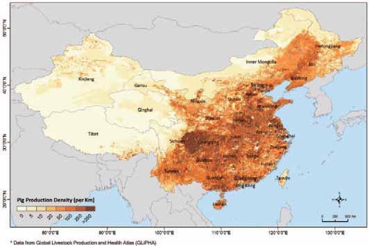 Map 4: Pig production density in China.
