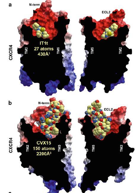 Chemokine receptor CXCR4 in complex with: (a) IT1t (b) CVX15 peptide (c)