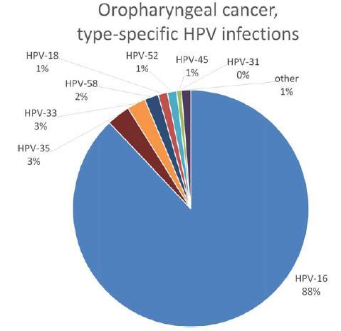 DISTRIBUTION OF TYPE-SPECIFIC HPV INFECTIONS FOUND IN OPC HPV-16: Most common high-risk infection Approx.