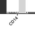 agents EPZ-5676, Ara-C and Daunorubicin or in combination as induces