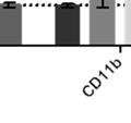 mrna levels of CD14 upon treatment with EPZ-5676 (4M) as single agent