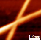 Fig. S8. AFM scanning of the welded junctions between Cu@Ti NWs network.