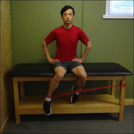 Hip Conditioning Program Instructions: Sit on a stable surface and tie a band to your ankle with the other end tied to a post. The direction of resistance should pull your ankle and foot inwards.