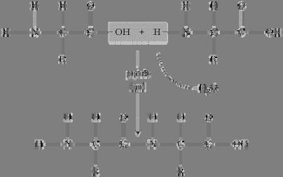 Ex: 2 amino acids joined by dehydration synthesis ( ) = a covalent bond that joins amino acids