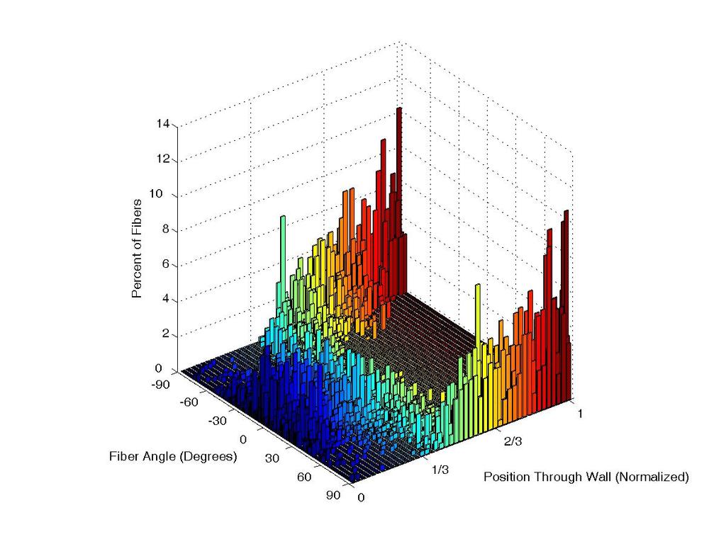 Fig. 15. Three dimensional histogram of normalized and averaged data sets (N=6) at 15% axial extension and 80 mmhg.