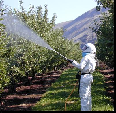 New Insecticide Options for Integrated Pest