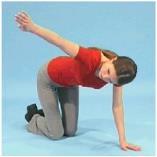 Spine-Thoracic and Lumbar Crawling position. Lift your arm up to the side while rotating the body. Let your eyes follow the arm.