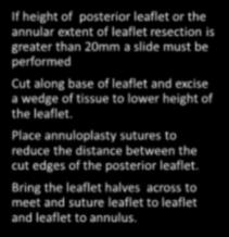 annular extent of leaflet resection is greater than 20mm a slide