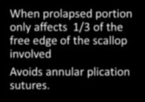 edges of the posterior leaflet.