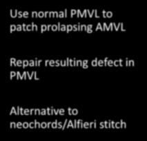 Use normal PMVL to patch prolapsing AMVL Repair