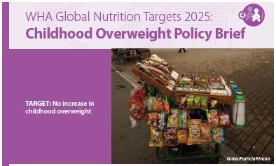 Area for intervention from policy briefs Addressing early life exposures to improve nutritional status and growth patterns Improving community understanding