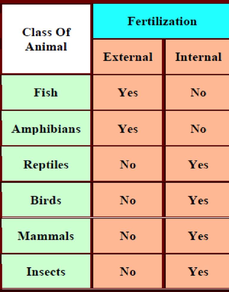 There are 2 major mechanisms of fertilization external fertilization: q Used by many aquatic invertebrates.