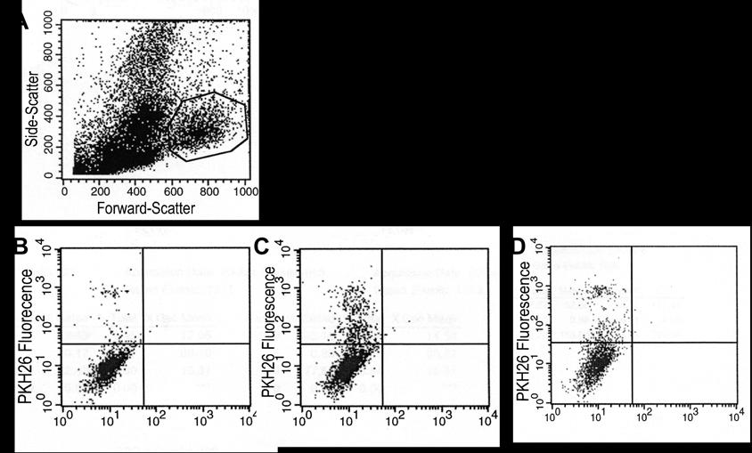 but there was an increase in the receptor cell surface concentration (seen in the MFI) (figure 5C).